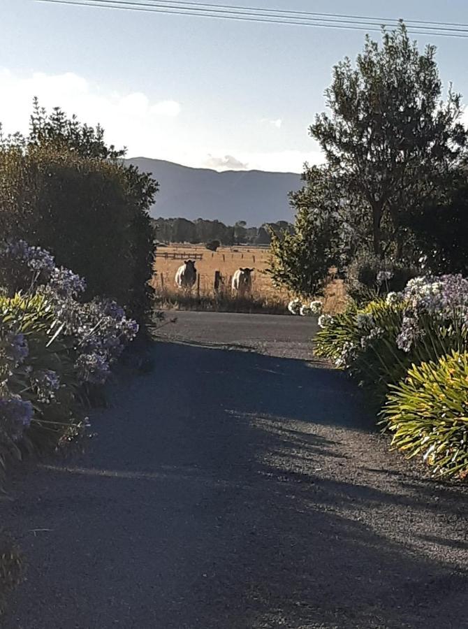 15 On Wards Bed and Breakfast Greytown Buitenkant foto